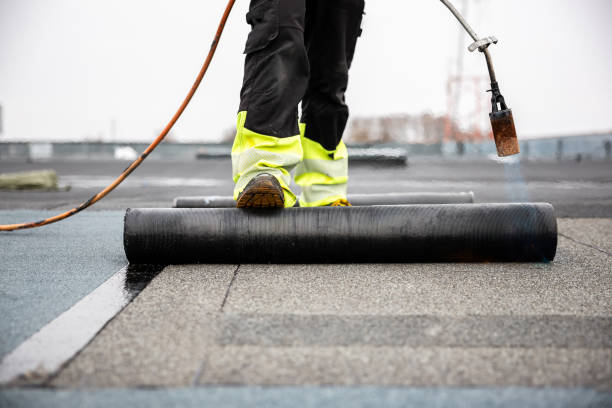 Sheet Metal Roofing in Wahiawa, HI